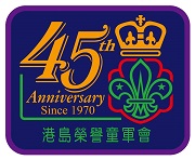 45周年紀念章