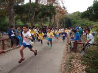 Start Cubs  Start Cubs