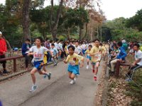 Start Cubs 2  Start Cubs 2