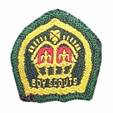 King's Scout Badge