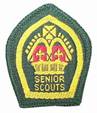 Queen's Scout Badge