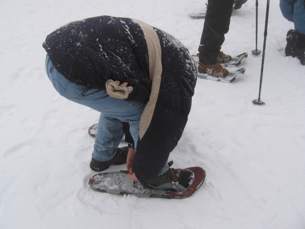  - Click for original image