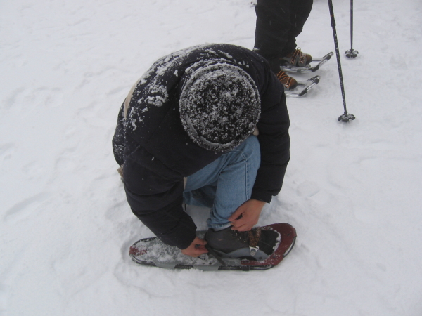  - Click for original image