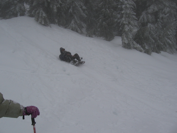 龜背式四肢朝天