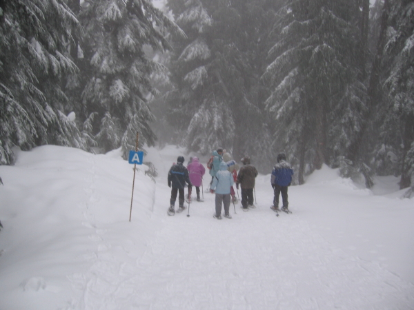  - Click for original image