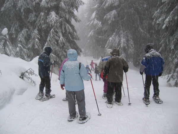  - Click for original image