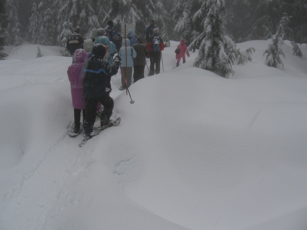  - Click for original image