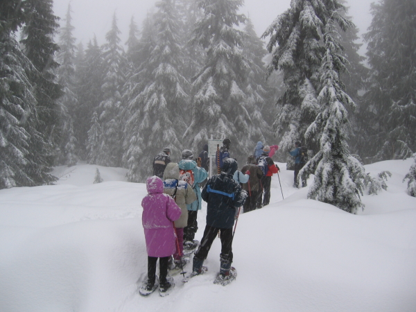  - Click for original image