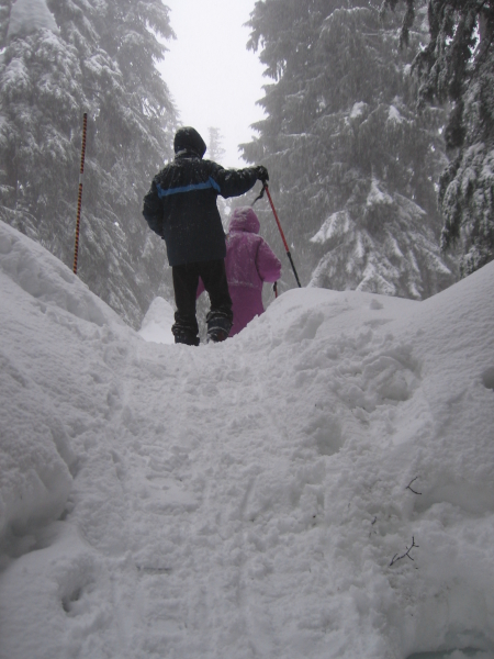  - Click for original image