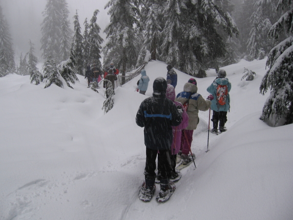  - Click for original image