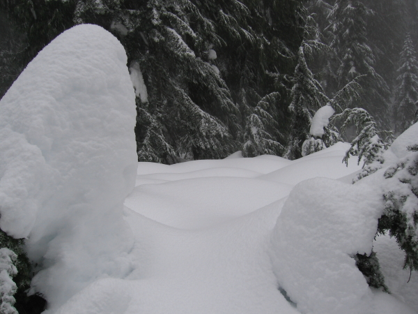  - Click for original image