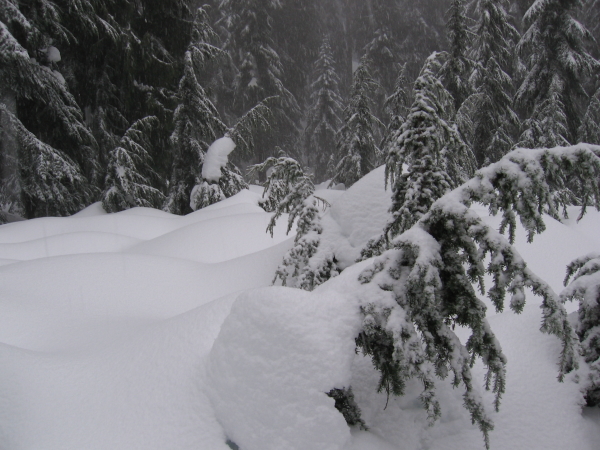  - Click for original image