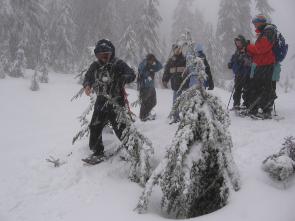  - Click for original image