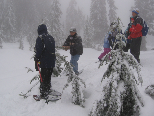  - Click for original image